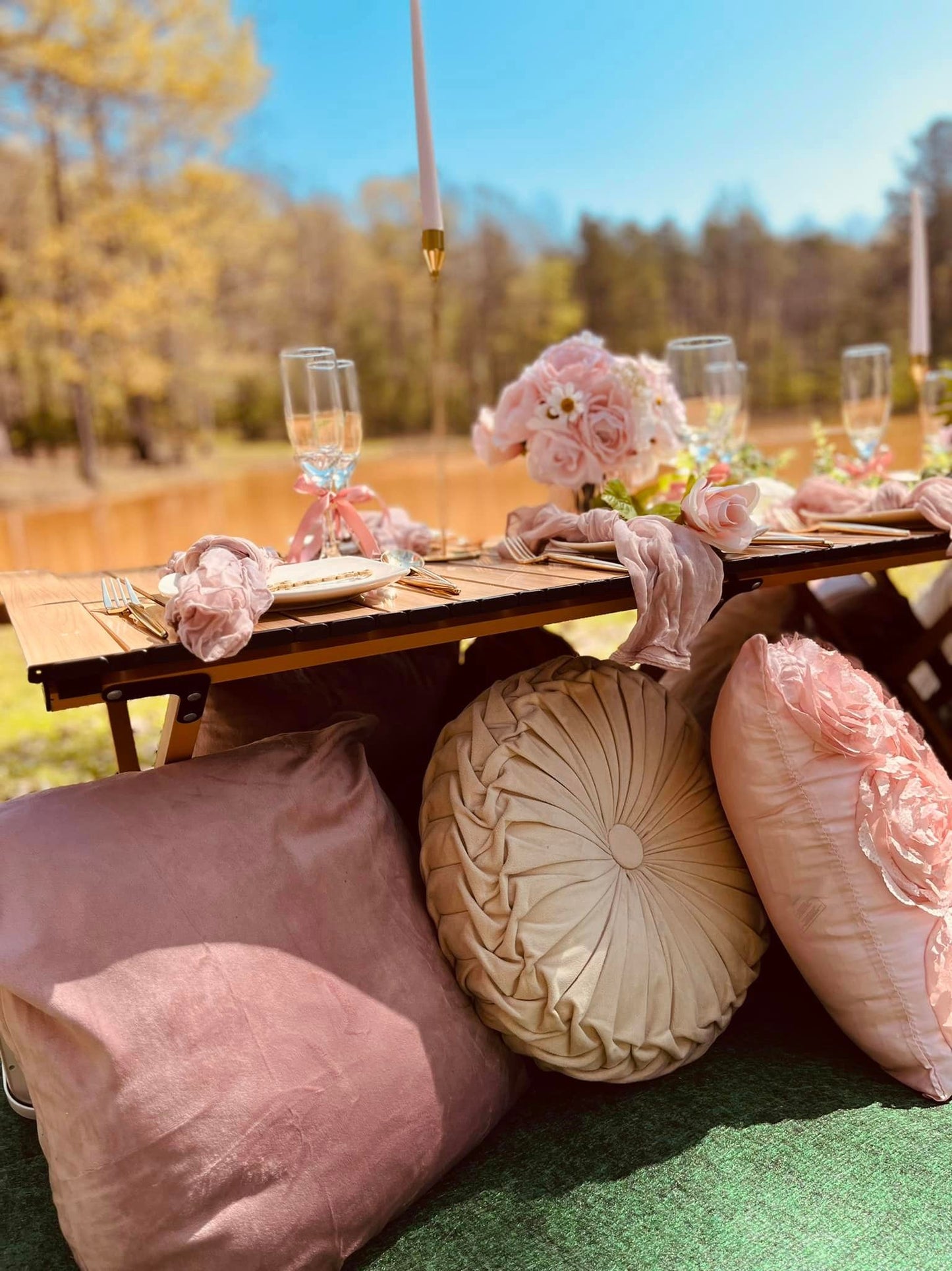 Luxury Picnic