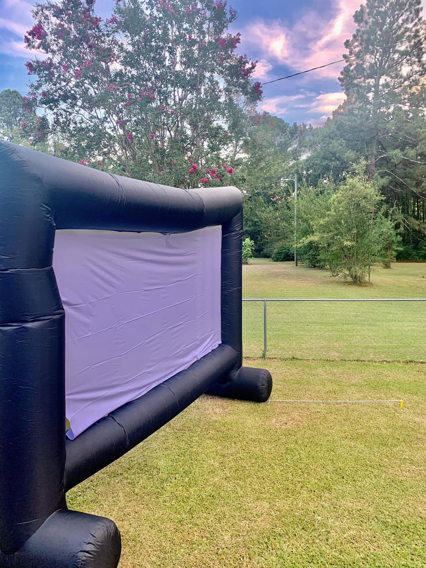 Theater Projector Screen